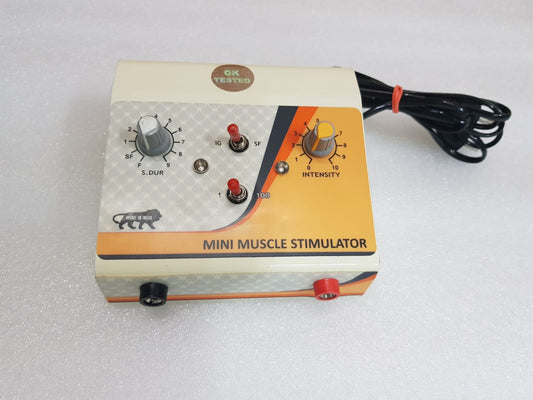 Mini Muscle Stimulator – Compact Device for Muscle Strength & Rehab